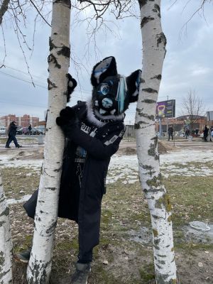 Нажмите, чтобы посмотреть в полный размер