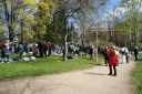 17_cmv62nd1wpg.jpg