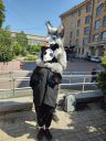 182_K9gRYx90m8Y.jpg
