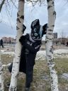 Имя файла=63_dGjwX9IQ-XE.jpg
Размер файла=437КБ
Размеры=810x1080
Дата=Дек 22, 2024 63_dGjwX9IQ-XE.jpg
