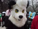 DSC02395.JPG