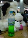 DSC02473.JPG