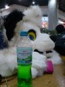DSC02474.JPG