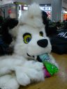 DSC02476.JPG