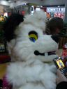 DSC02477.JPG