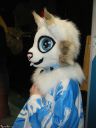 DSCF0156.JPG