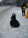 Имя файла=DSCF0320.JPG
Размер файла=2055КБ
Размеры=1500x2000
Дата=Фев 11, 2025 DSCF0320.JPG