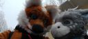 Имя файла=photo_24_02-03-2025_17-29-37.jpg
Размер файла=107КБ
Размеры=1280x576
Дата=Март 03, 2025 photo_24_02-03-2025_17-29-37.jpg